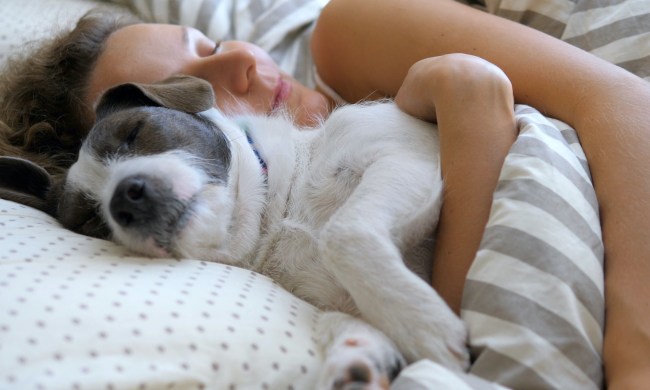 A woman snuggles with her dog in bed